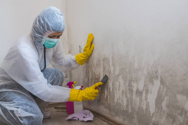 Best Commercial Mold Inspection  in Kirtland Af, NM