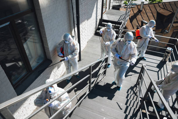 Best Water Damage & Mold Remediation  in Kirtland Af, NM