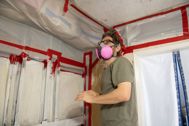 Mold Documentation for Insurance Claims in Kirtland Af, NM