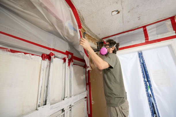 Best Emergency Mold Remediation  in Kirtland Af, NM
