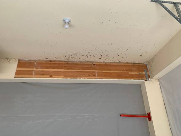 Best Indoor Air Quality Assessment  in Kirtland Af, NM