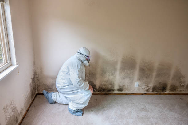Mold Remediation for Rental Properties in Kirtland Af, NM